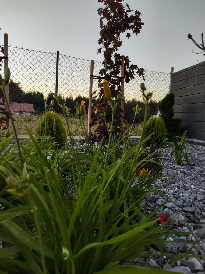 Apartament Nadziei Chmielno Esterno foto